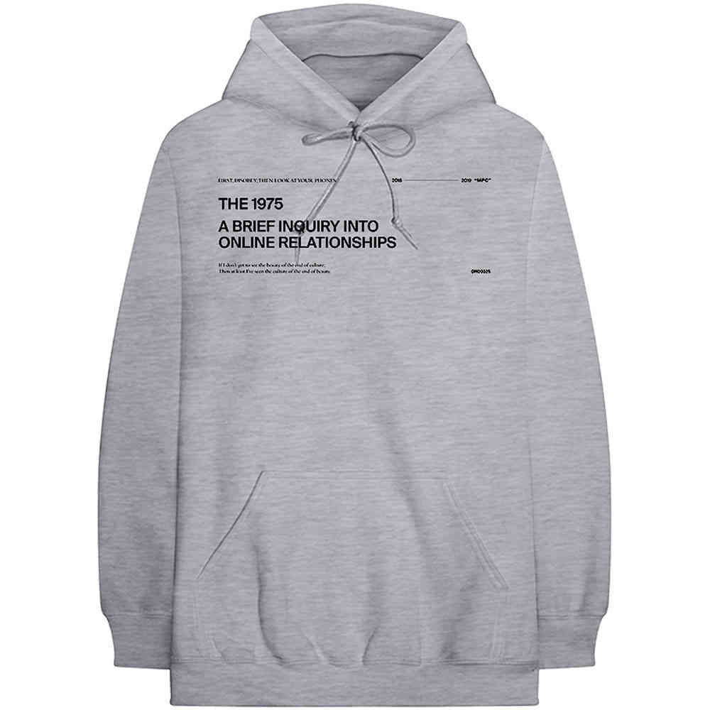 The 1975 - ABIIOR Version 2. Hoodie/trui - Grijs